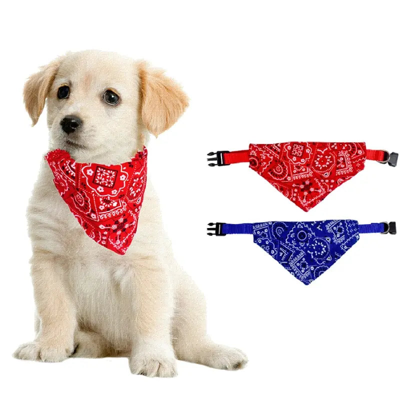 Bandana Triangular Ajustável para cães