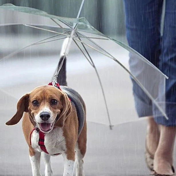 Guarda Chuva com Guia para cães - design ajustável conforto e segurança