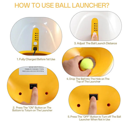 Lançador Automático de Bolinhas Diversão, Exercício e Estímulo do seu Pet
