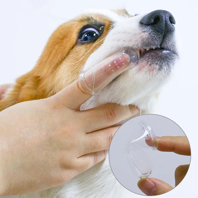 Escova Dedeira de Silicone Macio para Higiene Bucal Saudável do Seu Cão!